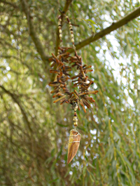 CHAIN